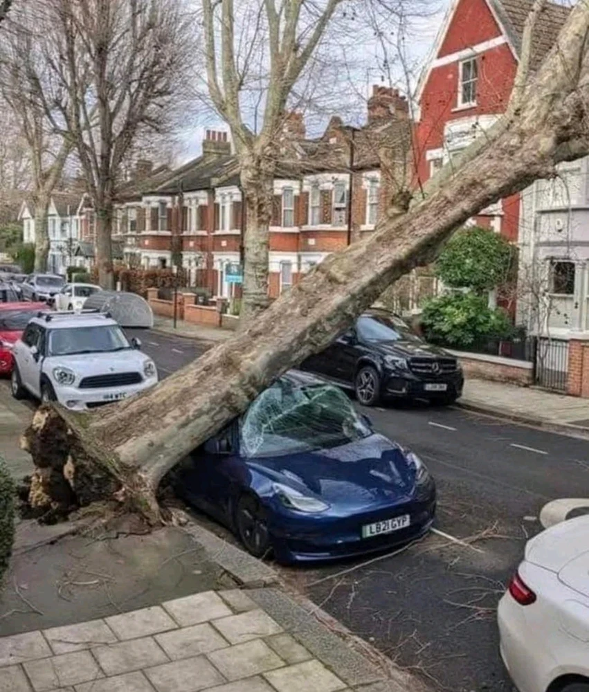 GIF uploaded by Kerry