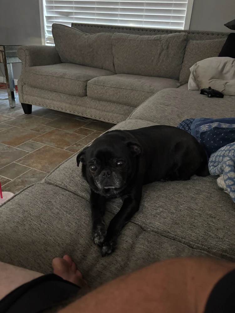 GIF uploaded by Caden