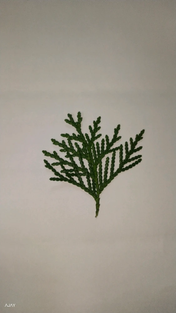 GIF uploaded by Ajaydoesitbetter