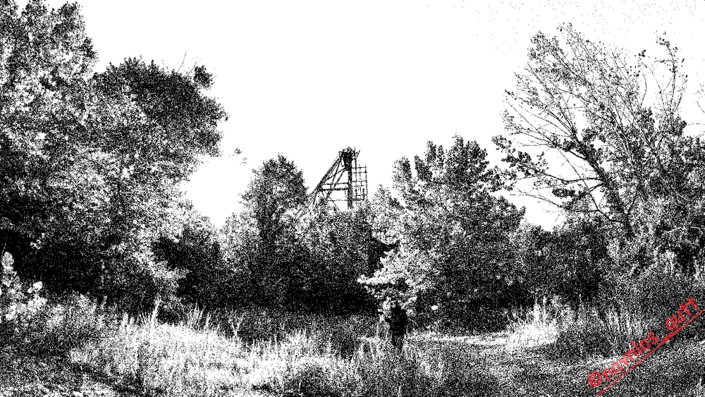 Image uploaded by Mike