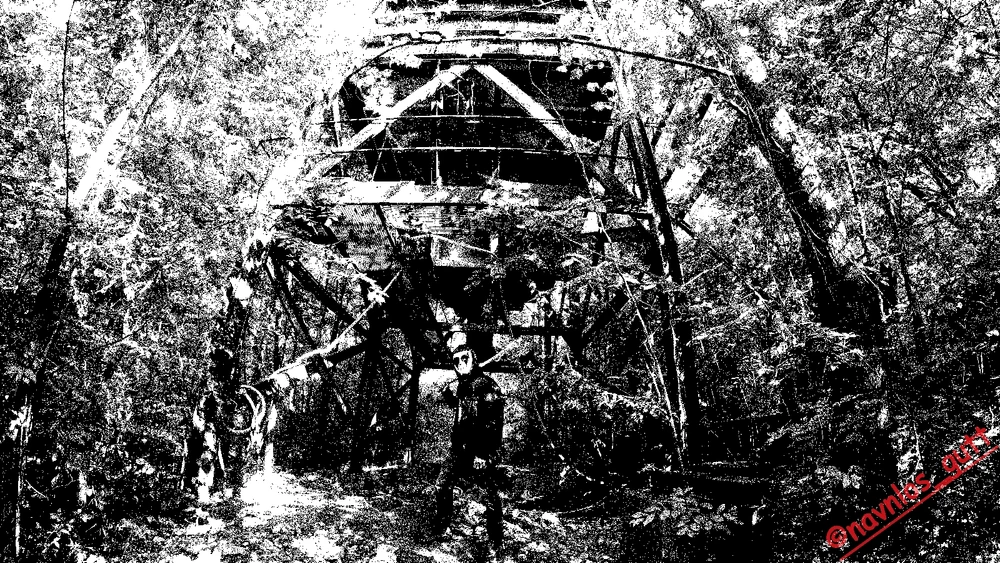 Image uploaded by Mike