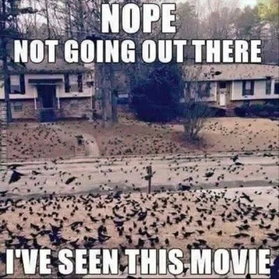 GIF uploaded by Noah