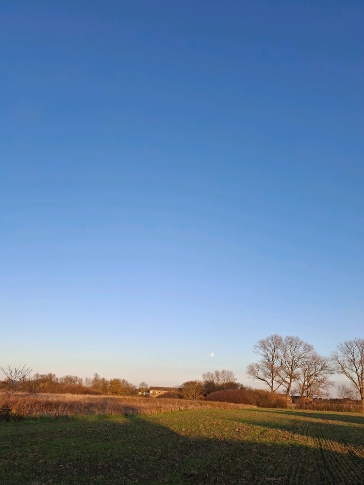 GIF geüpload door Xenia