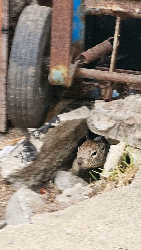 GIF uploaded by William