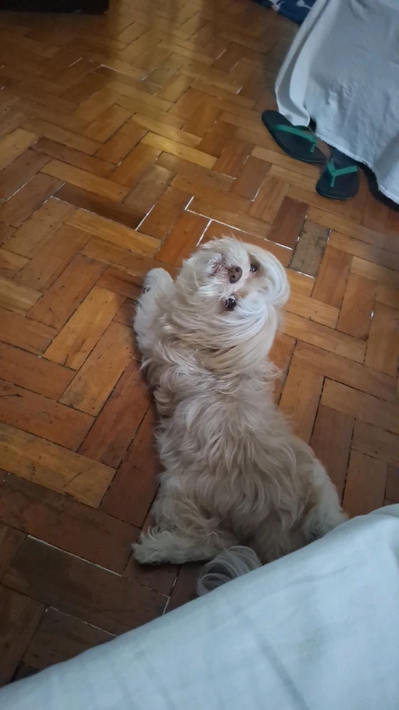 GIF enviado por Pedro