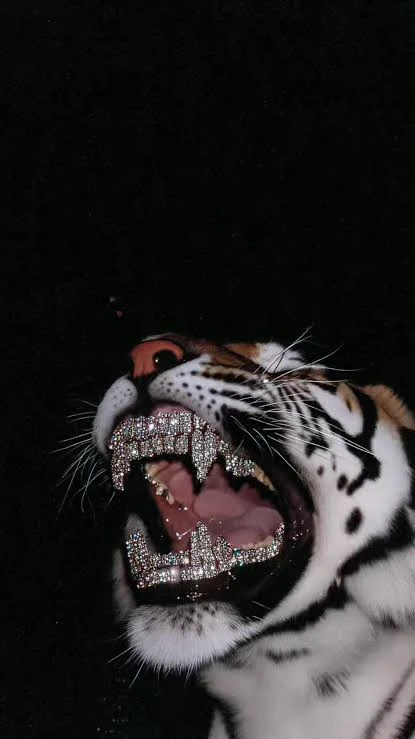 GIF uploaded by Naman yadav