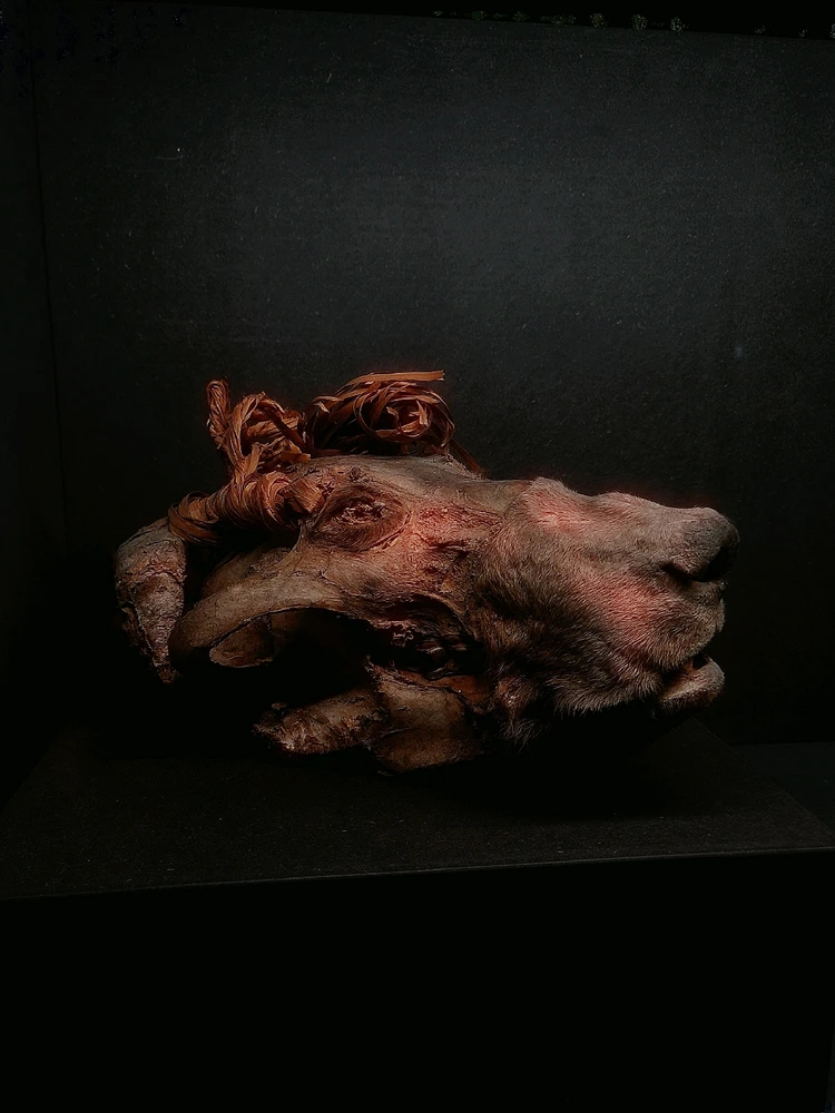 Зображення завантажив Riia