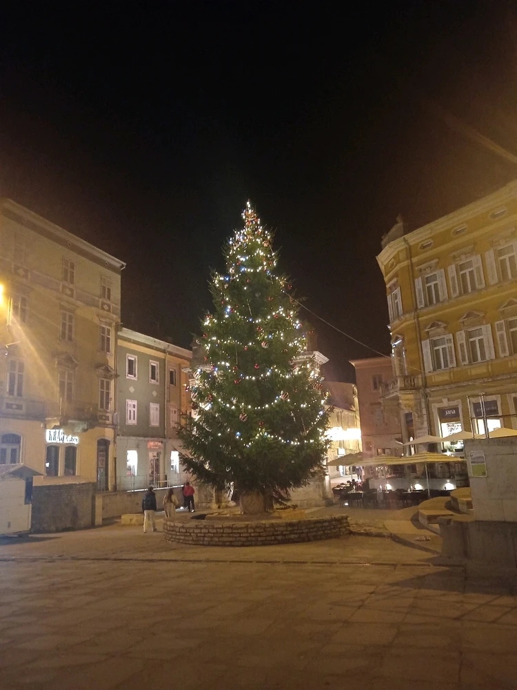 Image uploaded by Kayce