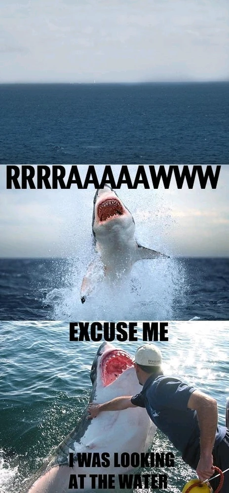 GIF uploaded by Donna