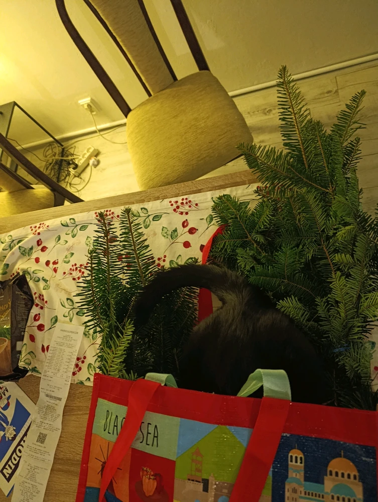 Obrázek nahrál ⭕⭕ Hlubina