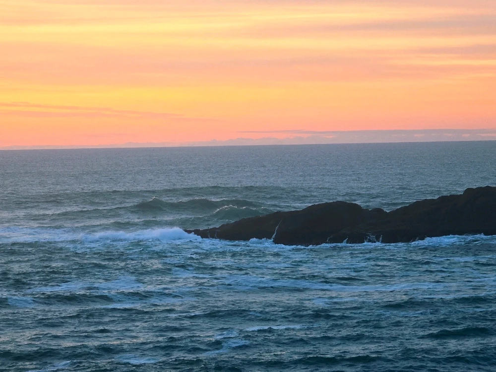 Image uploaded by Sean