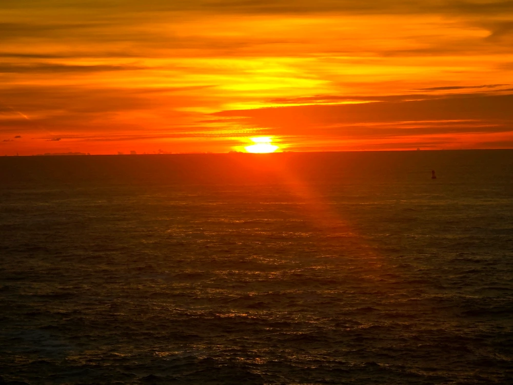 Image uploaded by Sean