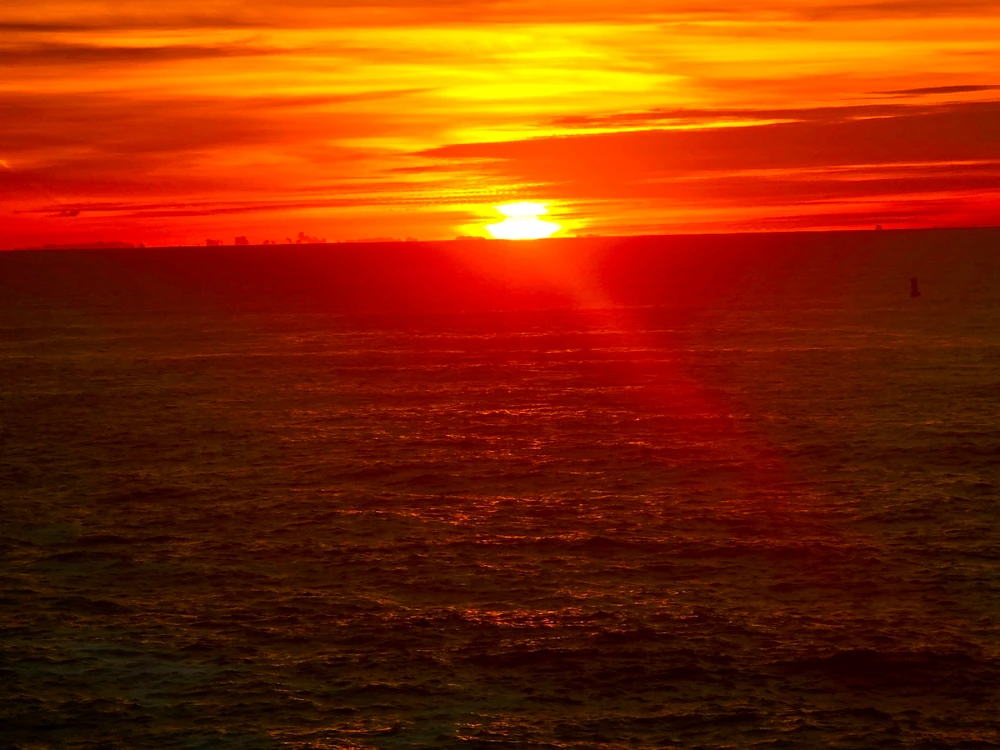 Image uploaded by Sean