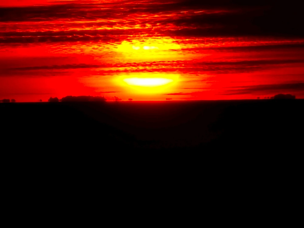 Image uploaded by Sean