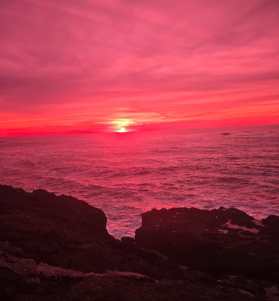 Image uploaded by Sean