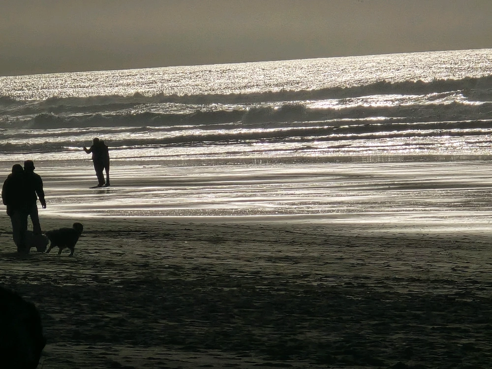 Image uploaded by Sean