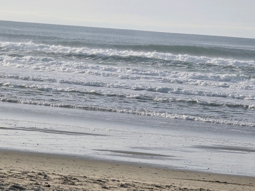 Image uploaded by Sean