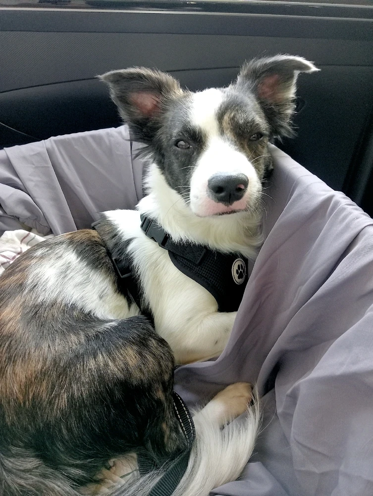 GIF uploaded by Jerónimo