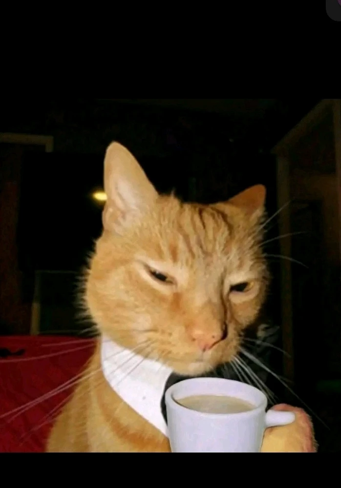 GIF uploaded by Said Mora