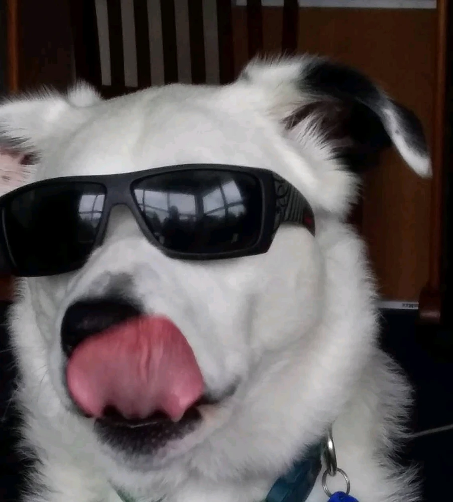 GIF uploaded by Wyatt