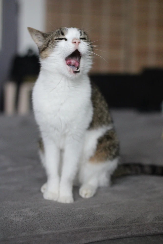 Obrázek nahrál Martin