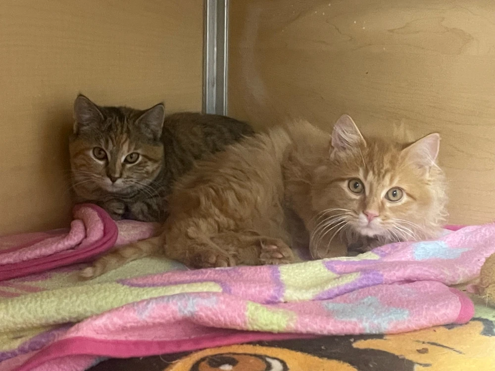 Image uploaded by Robbie