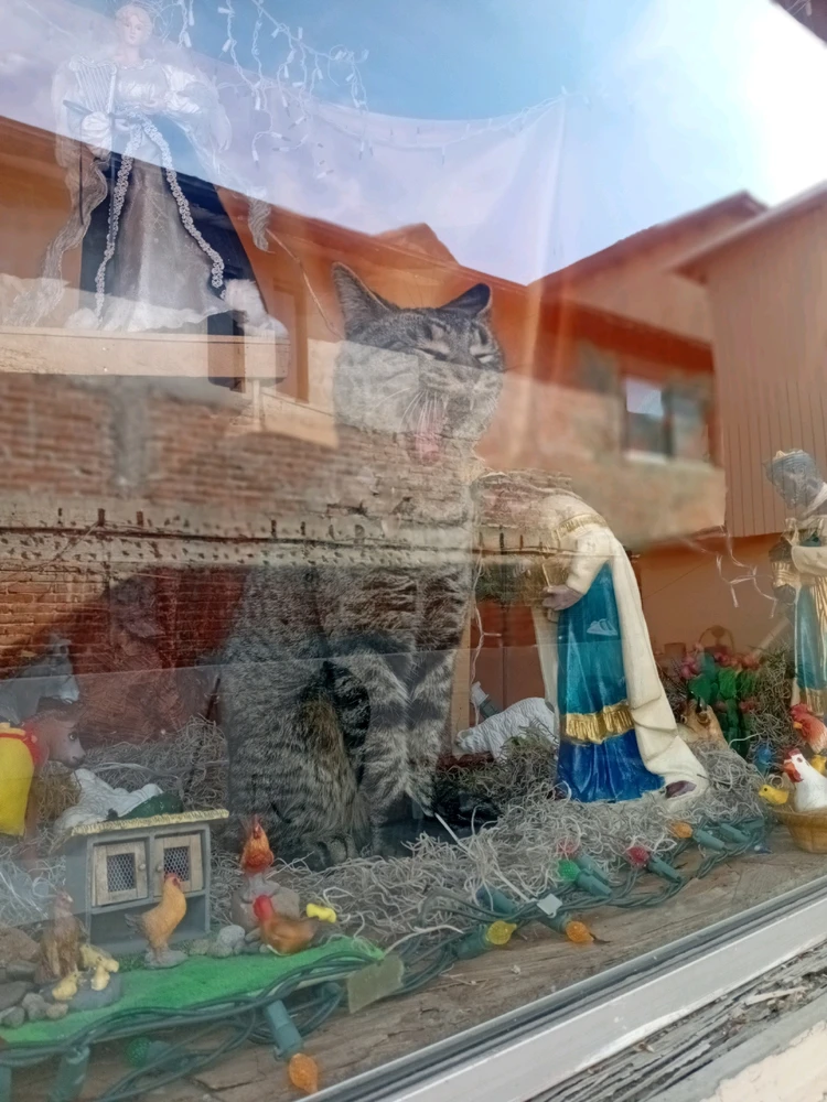 Image uploaded by Laura