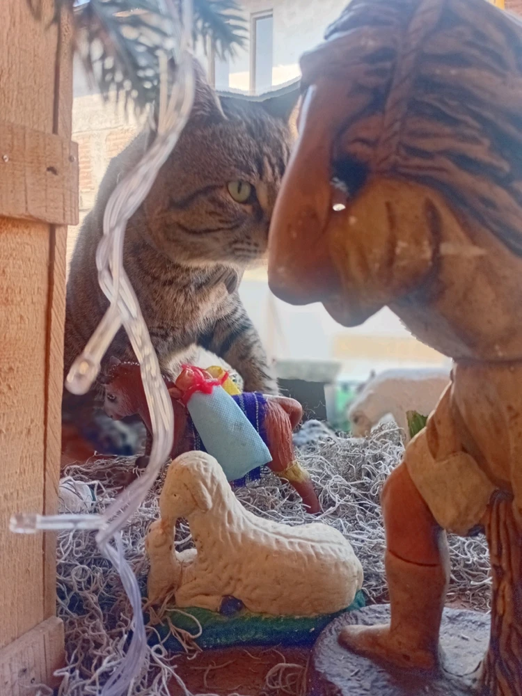 Image uploaded by Laura