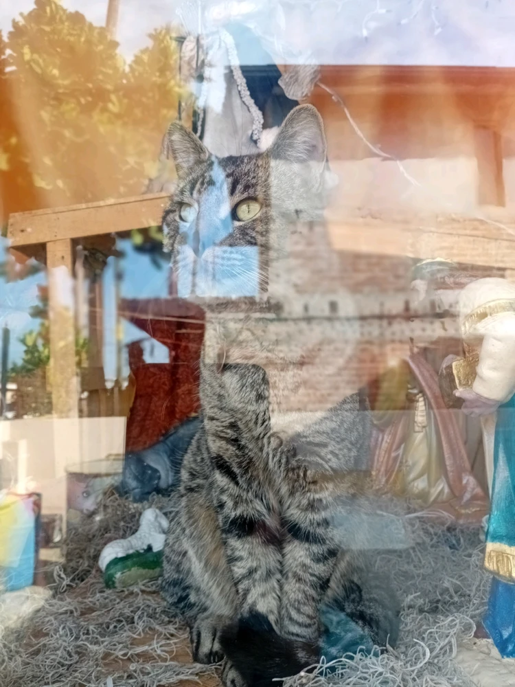 Image uploaded by Laura