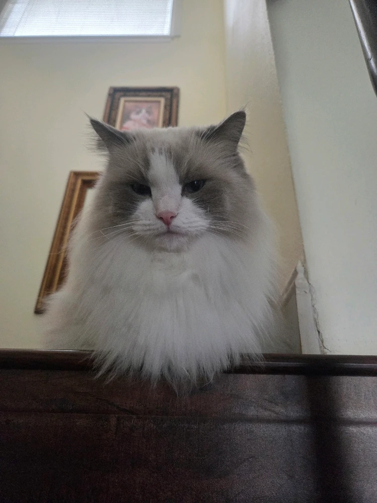 GIF uploaded by Jason