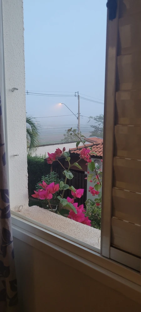 Imagem enviada por Meiry di Caprio