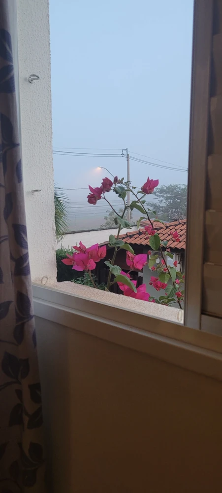 Imagem enviada por Meiry di Caprio