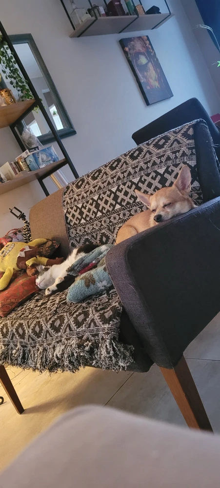 Imagem enviada por Meiry di Caprio