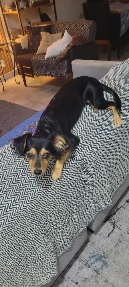 Imagem enviada por Meiry di Caprio