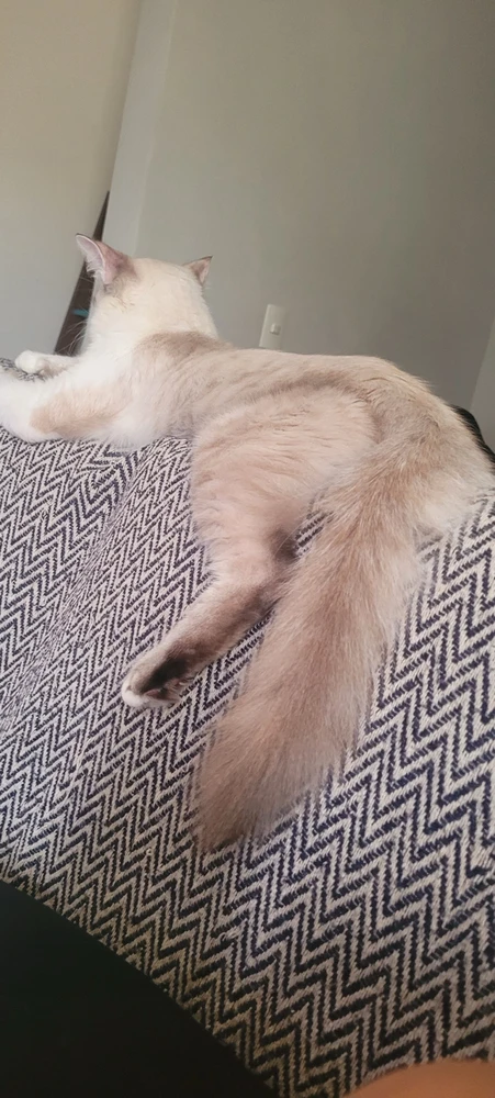 Imagem enviada por Meiry di Caprio