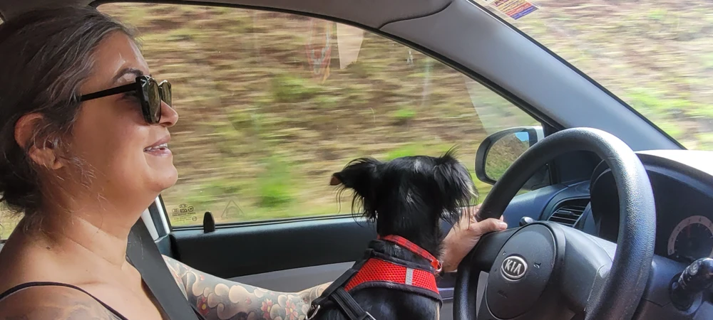 Imagem enviada por Meiry di Caprio