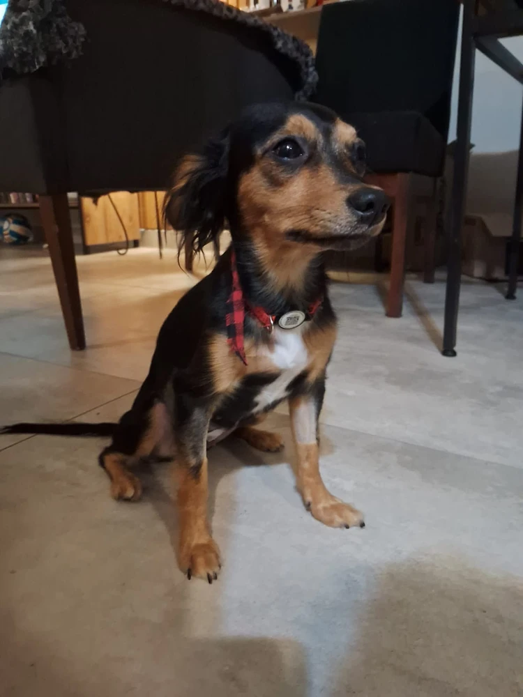 Imagem enviada por Meiry di Caprio