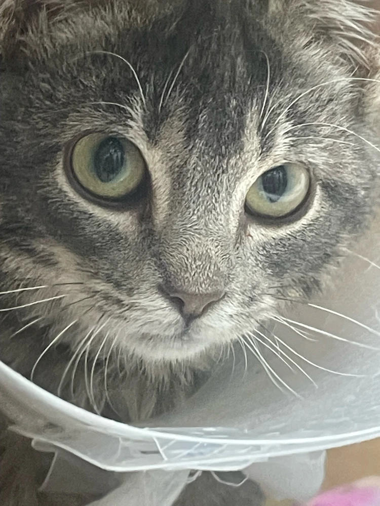 GIF uploaded by Robbie