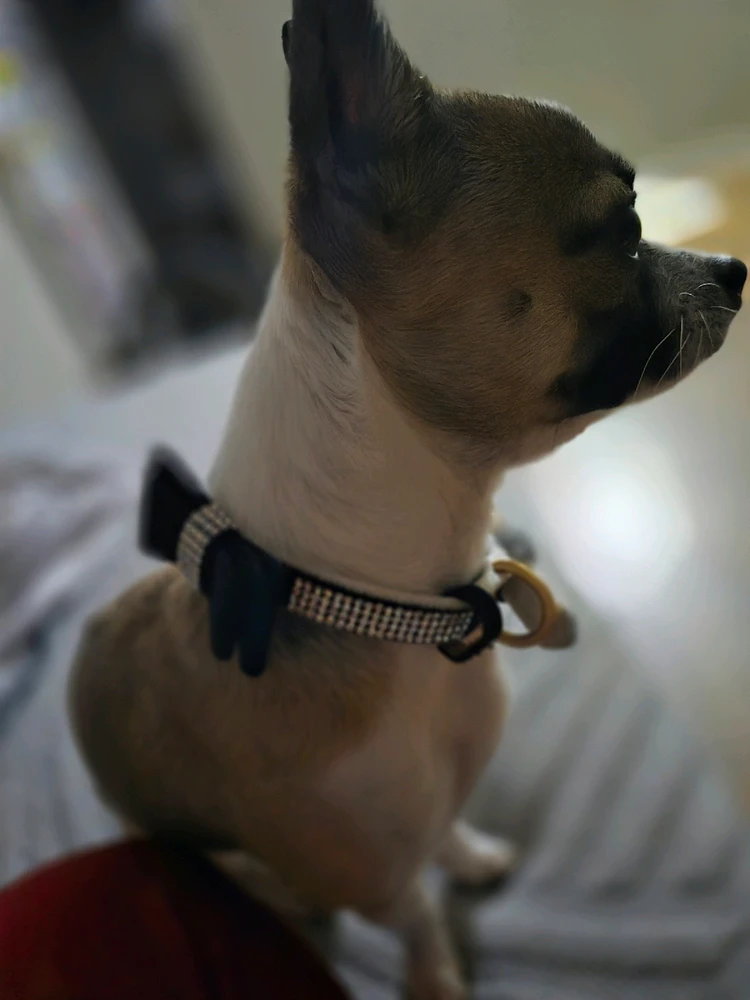 GIF uploaded by gabriella