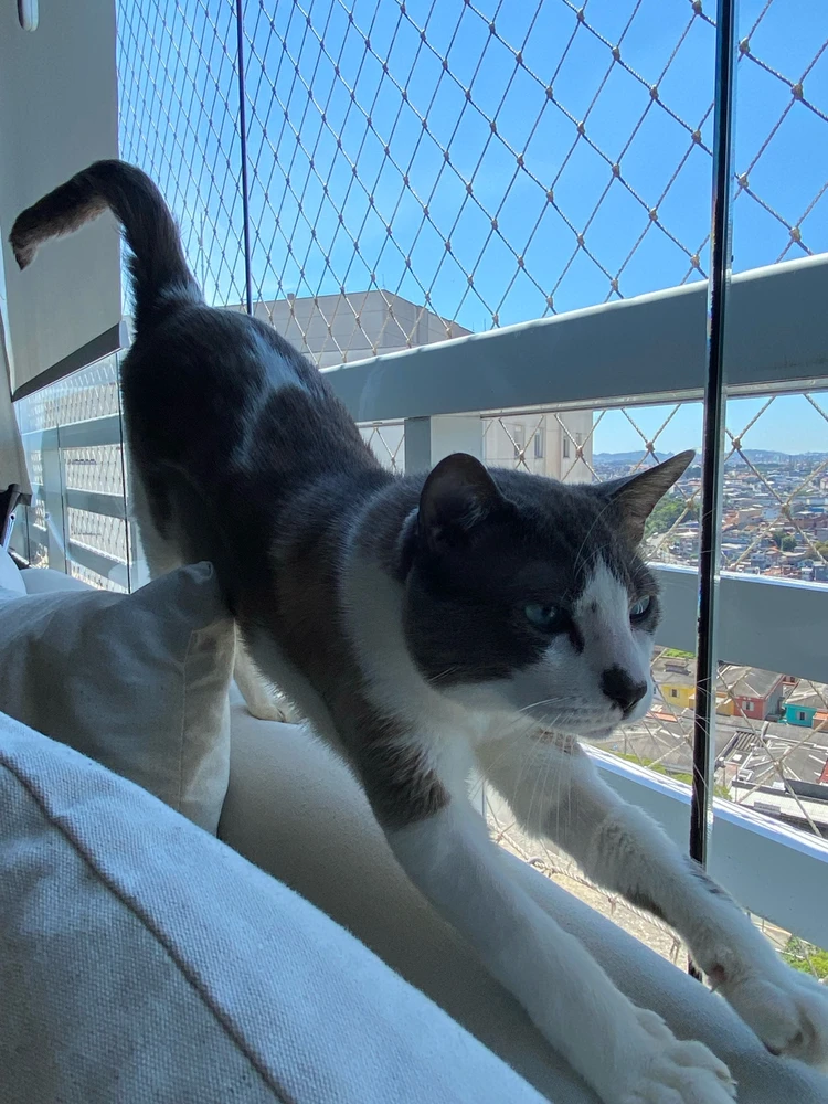 Image uploaded by Helena