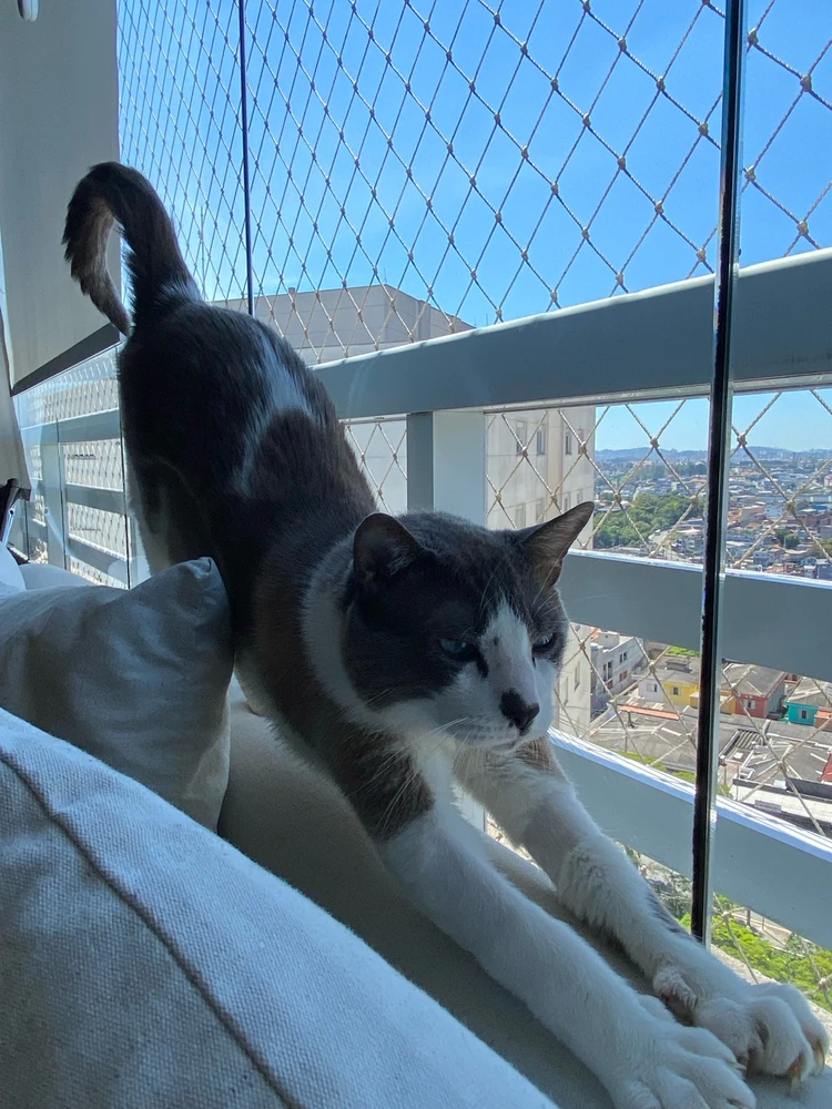 Image uploaded by Helena