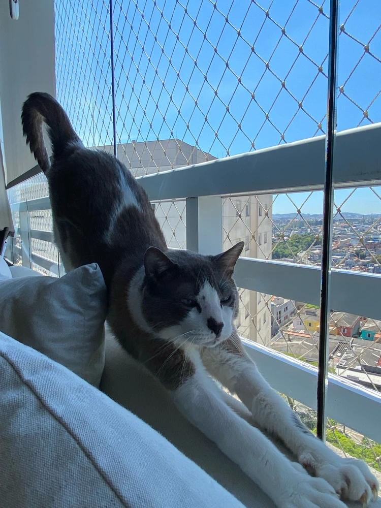 Image uploaded by Helena