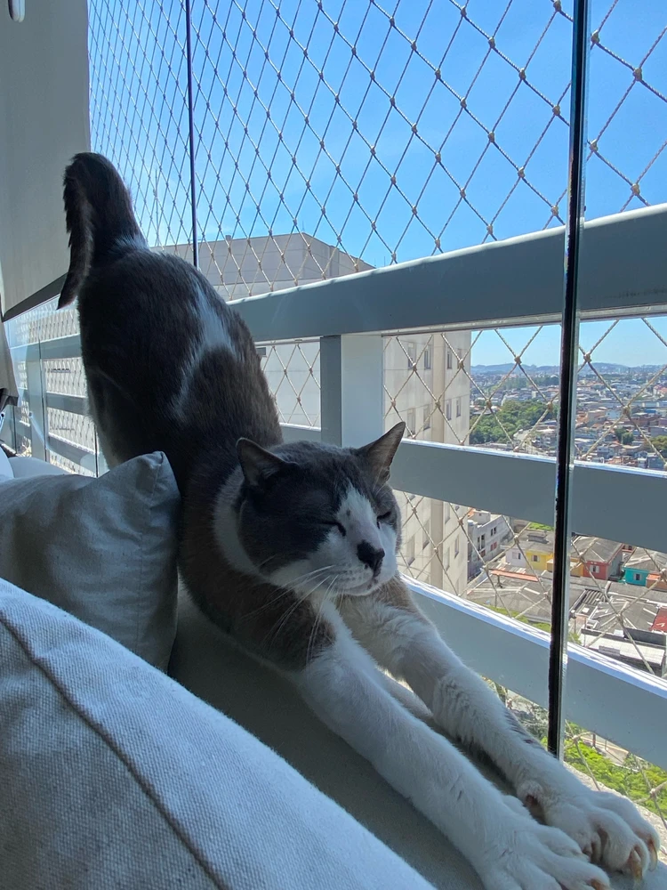 Image uploaded by Helena