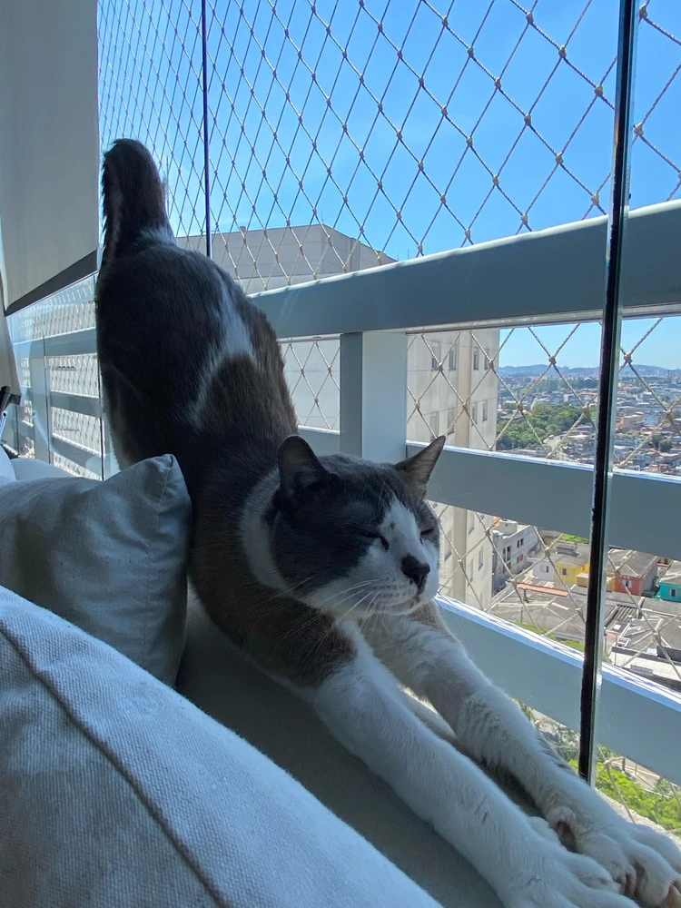 Image uploaded by Helena