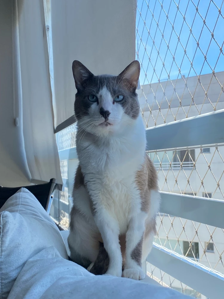 Image uploaded by Helena