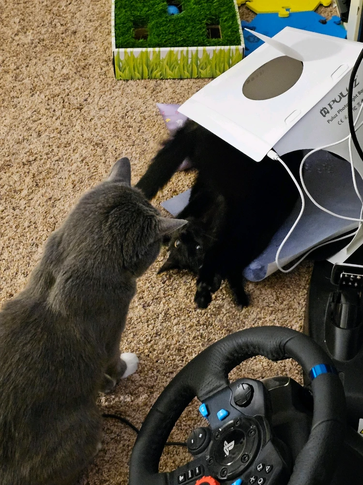 GIF uploaded by Diane