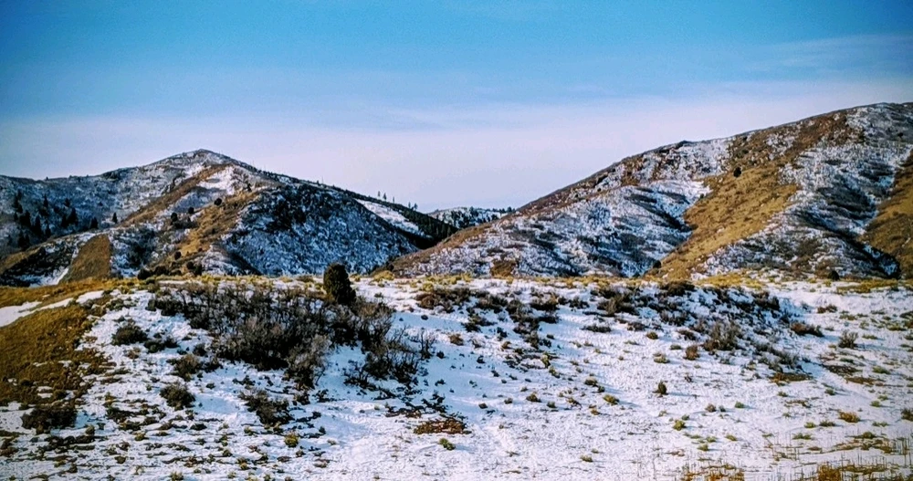 GIF uploaded by Chani