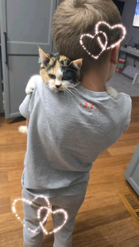 Image uploaded by Stazi