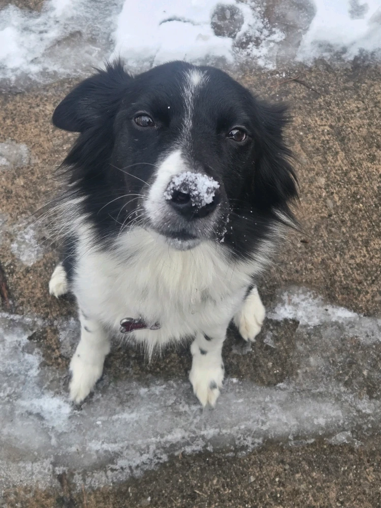 GIF uploaded by Kayla