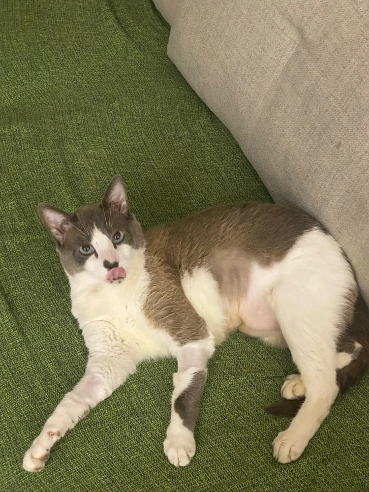 Image uploaded by Helena